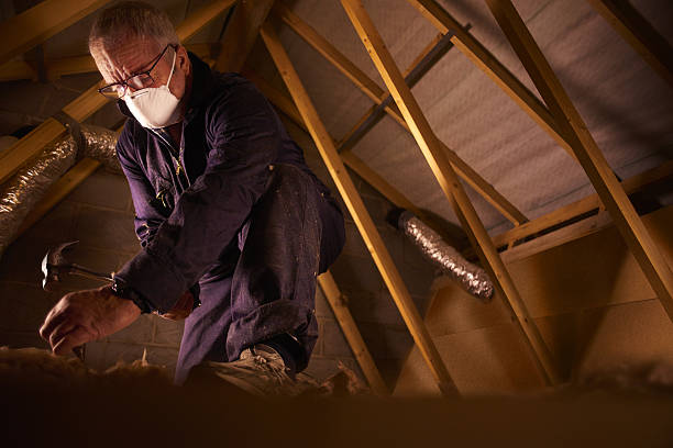 Best DIY Insulation Kits and Guidance in Navesink, NJ